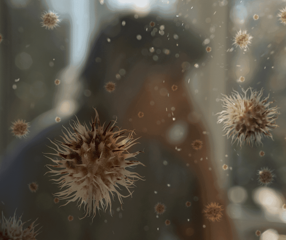 Mold Spore Trap Air Sampling Case Study