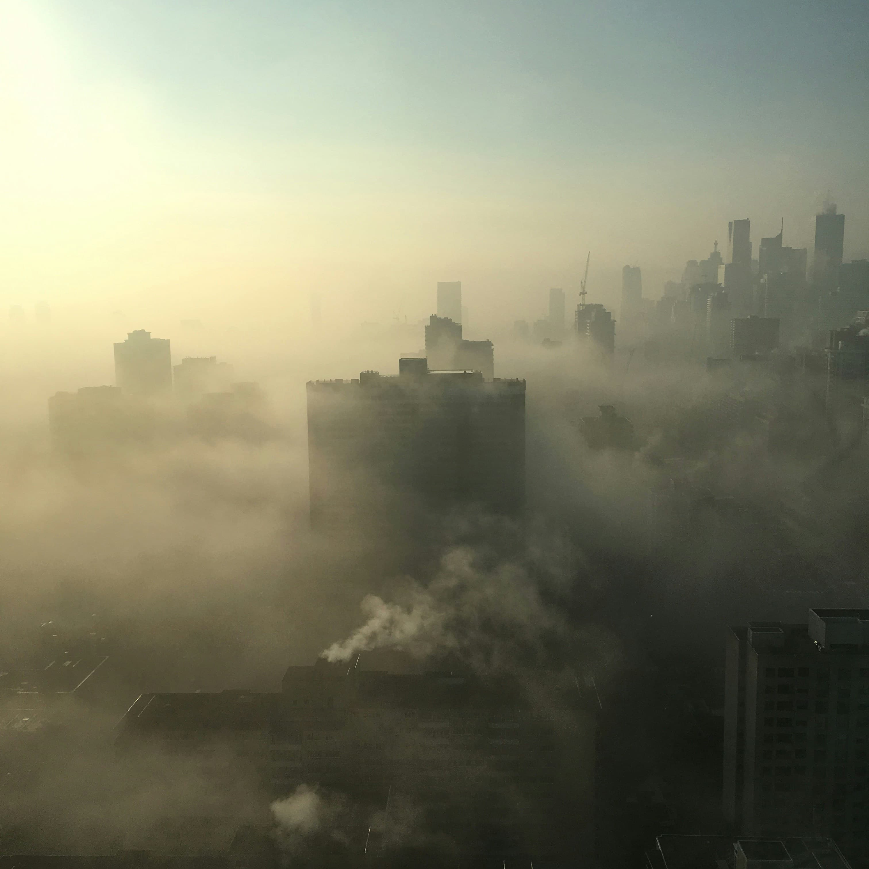 Professional Indoor Air Quality Testing