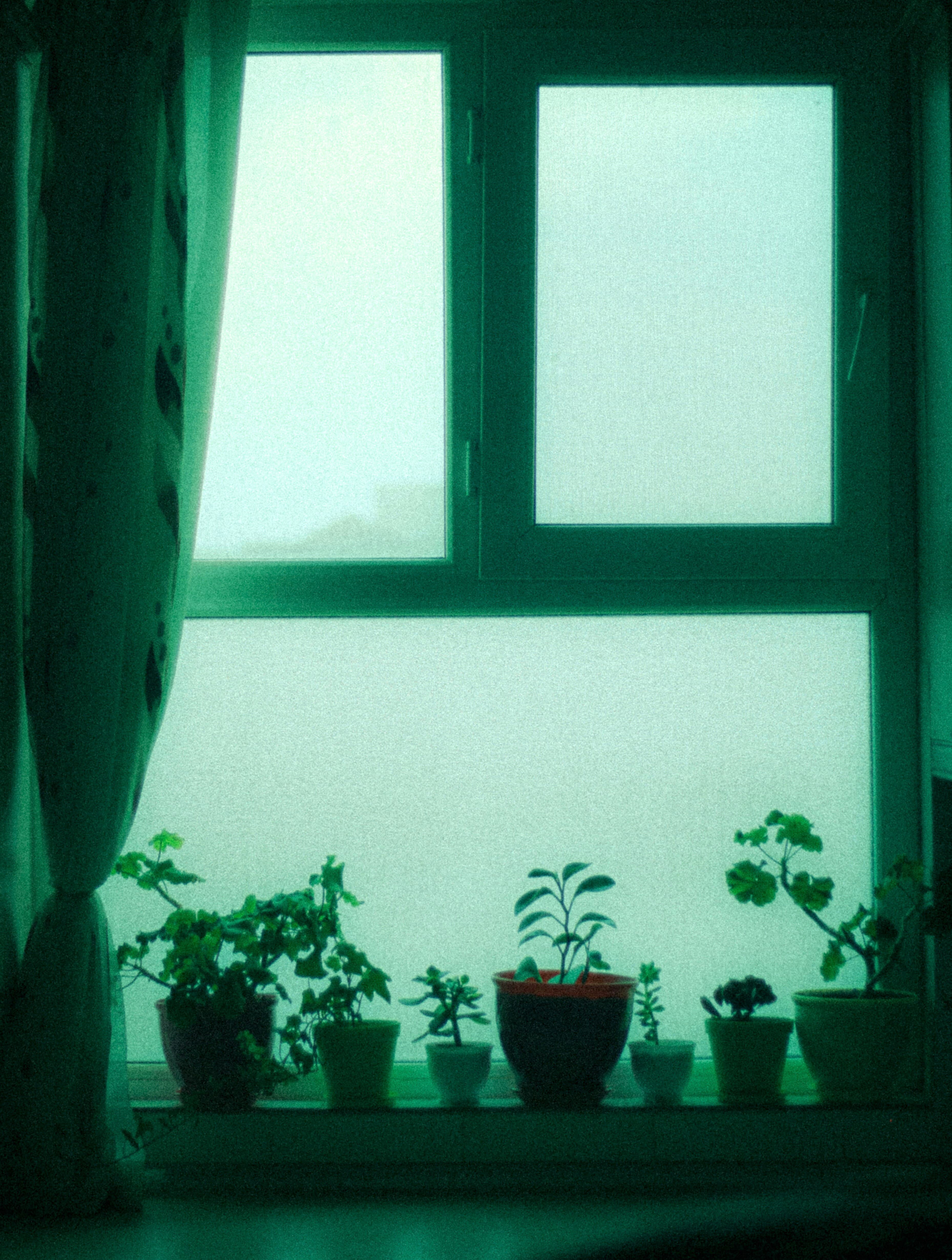 Indoor Air Quality Testing Case Study