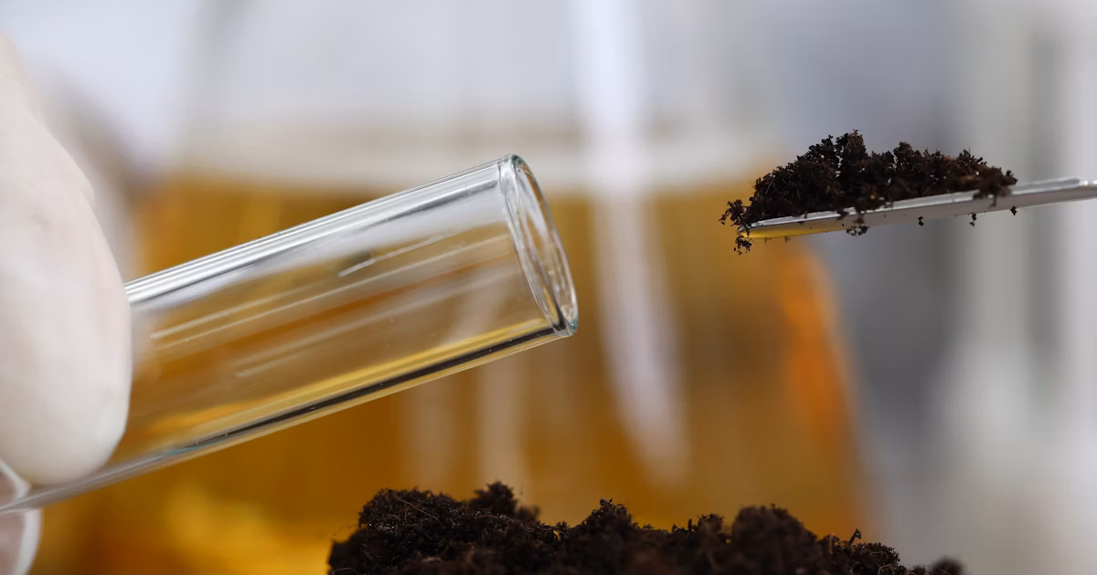 Professional Soil Testing