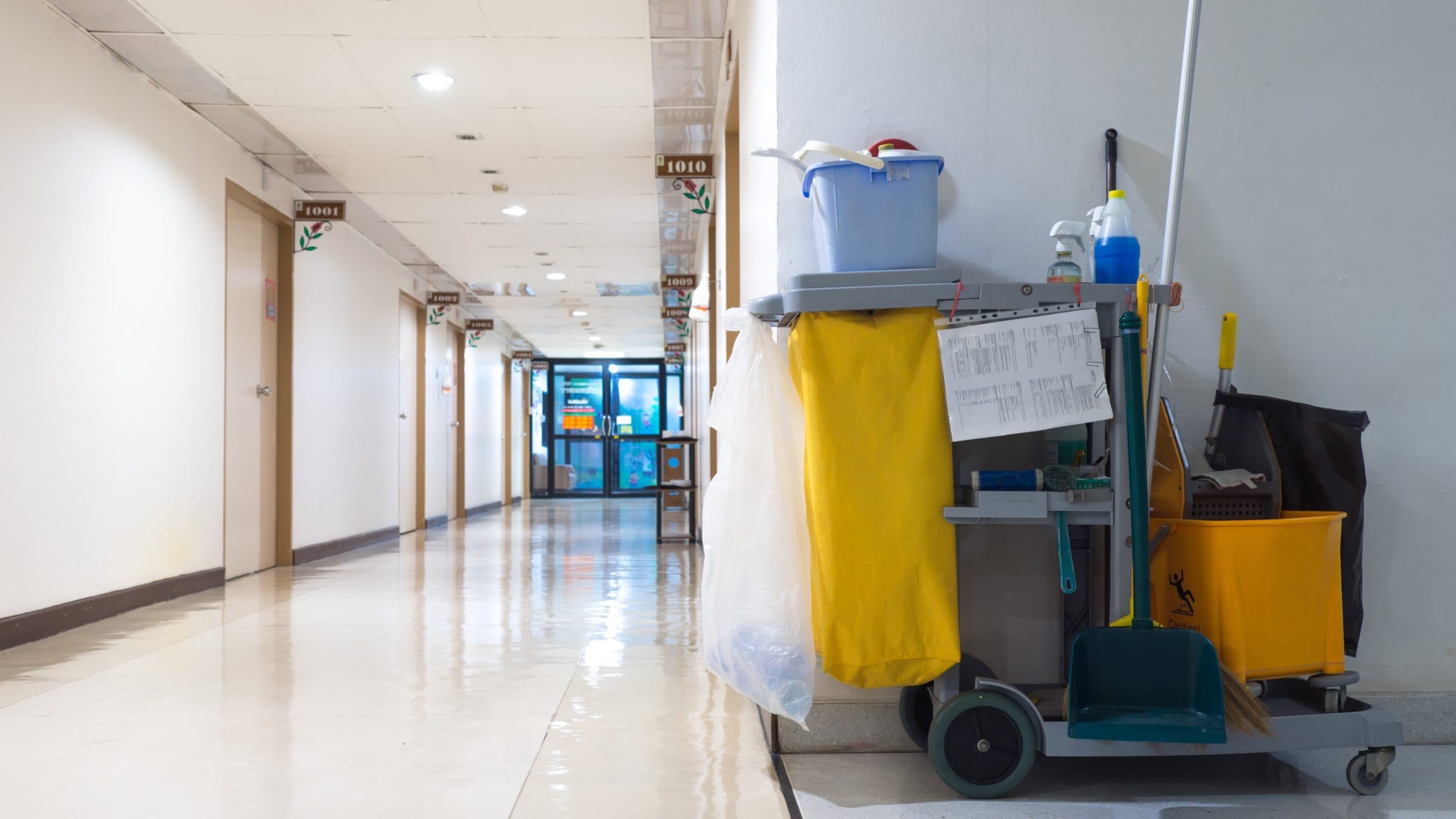 Professional Virus Cleanliness Testing